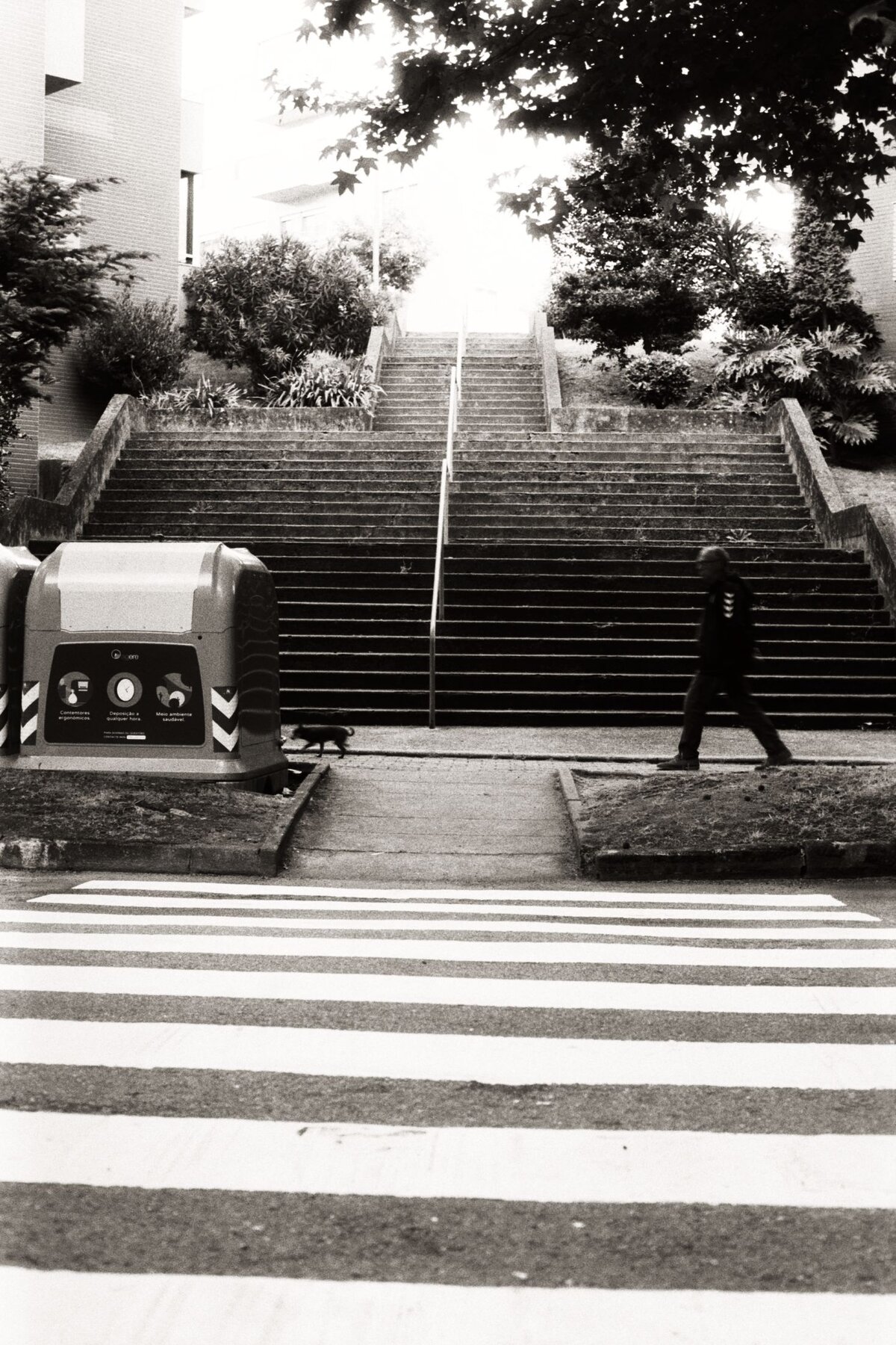 Man walking up the stairs
